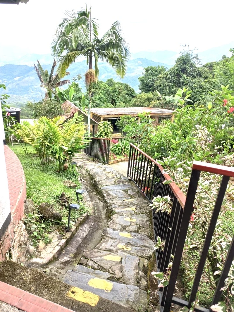 Sendero de piedra entre jardines y palmas