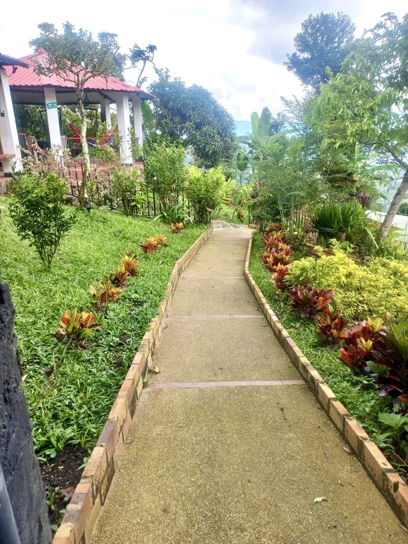 Camino entre jardines hacia el chalet