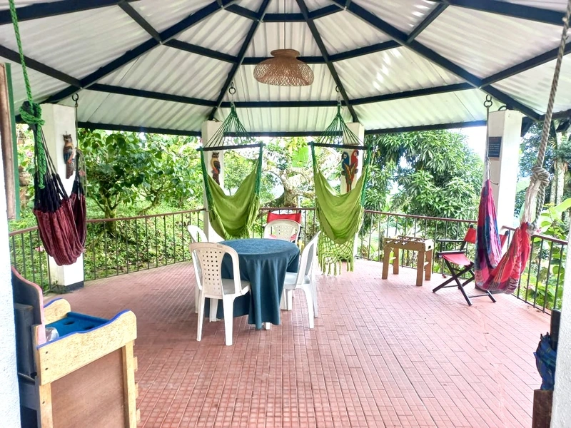 Kiosko con hamacas y mesa frente al bosque